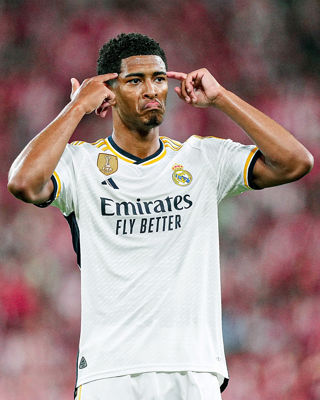 系列